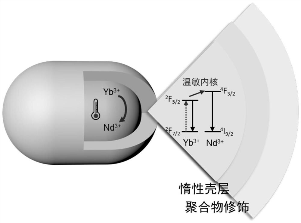 A temperature measurement method based on rare earth luminescence lifetime temperature probe