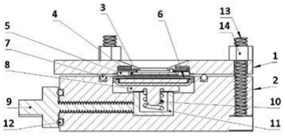 A kind of in-situ Raman spectroscopic pool and method for electrochemical in-situ spectroscopic testing