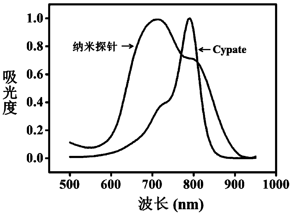 Integrated nanoprobe for diagnosis and treatment of bacterial infection in vivo and preparation method thereof