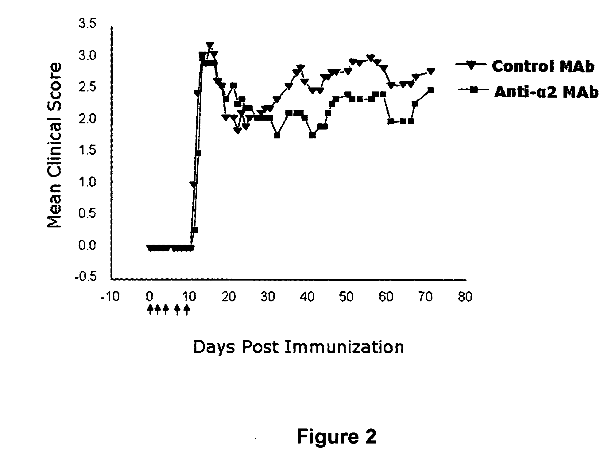 Anti-α2 integrin antibodies and their uses