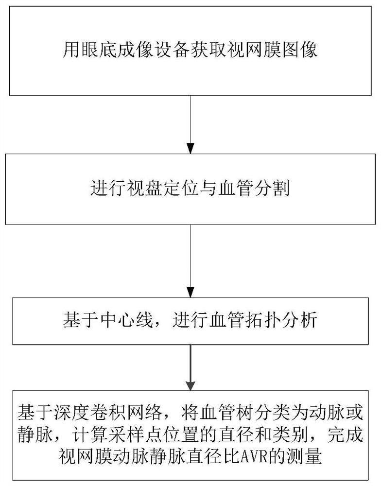 A method and device for automatically measuring retinal artery-to-vein diameter ratio