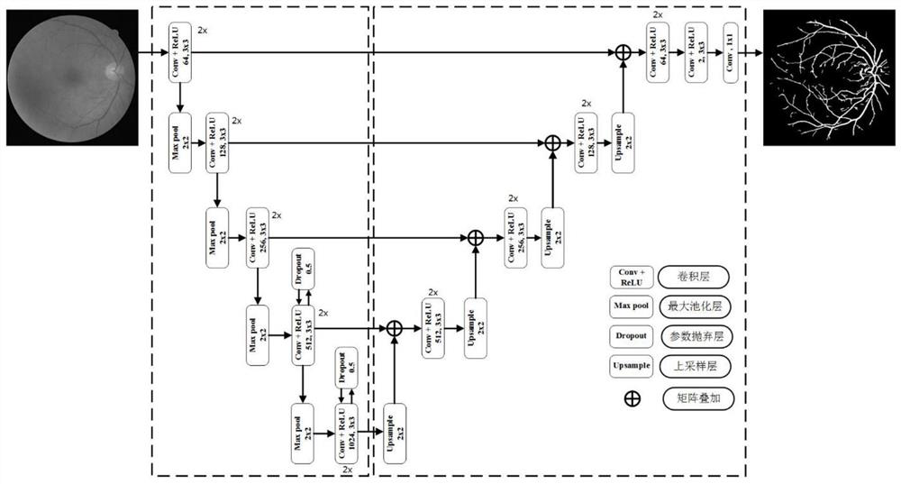 A method and device for automatically measuring retinal artery-to-vein diameter ratio