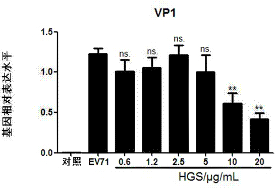 Use of Hepatocyte Growth Regulator Tyrosine Kinase Substrate in Prevention and/or Treatment of EV71 Infection
