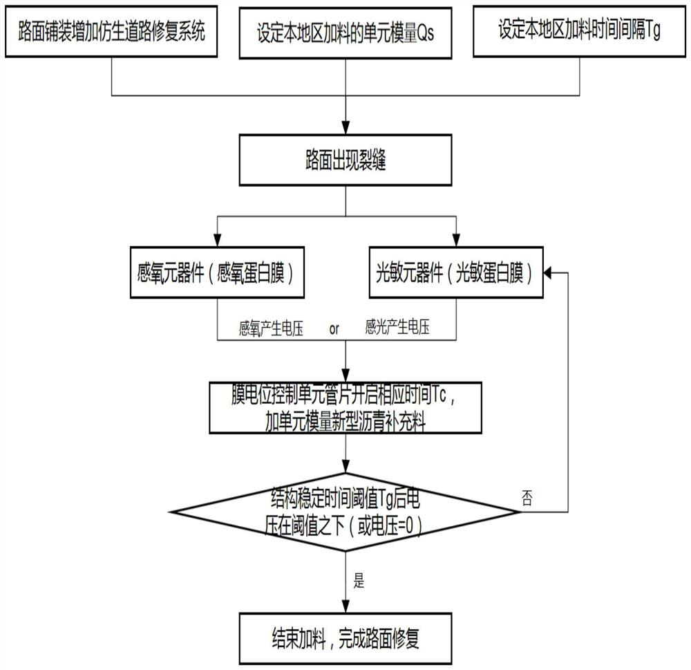 Biological road self-repairing system and repairing method thereof