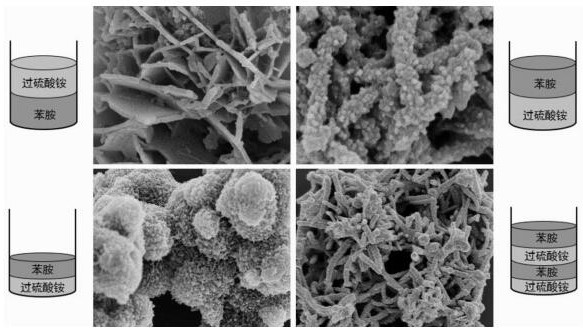 Preparation method of polyaniline material with three-dimensional hierarchical micro-nano structure