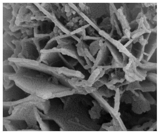 Preparation method of polyaniline material with three-dimensional hierarchical micro-nano structure