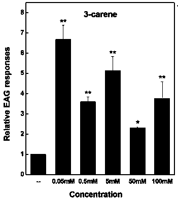 Application of terpene compound in biological prevention and control of hyphantria cunea