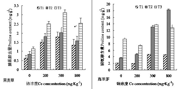 Method for planting lawn plants by combining rare earth cerium with mixed culture matrices