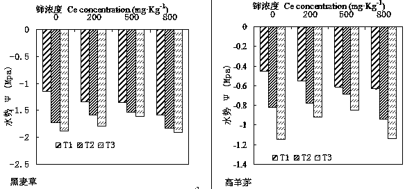 Method for planting lawn plants by combining rare earth cerium with mixed culture matrices