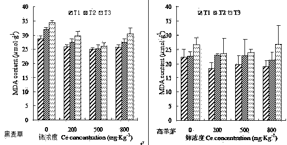 Method for planting lawn plants by combining rare earth cerium with mixed culture matrices