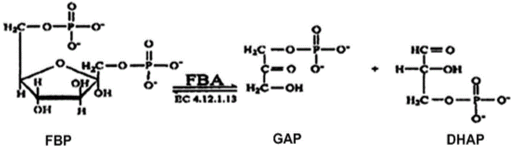 Novel thiazole derivatives, and preparation method and application thereof