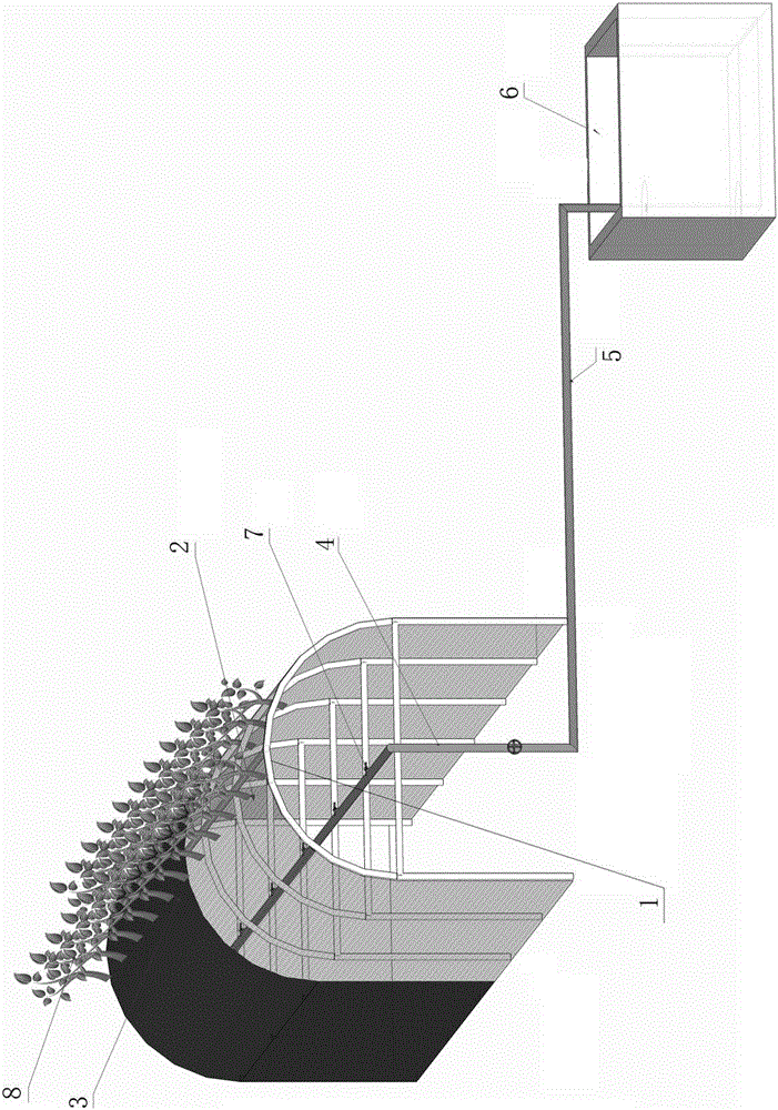 Apparatus for mist cultivating strawberry stolon seedling and mist cultivating method