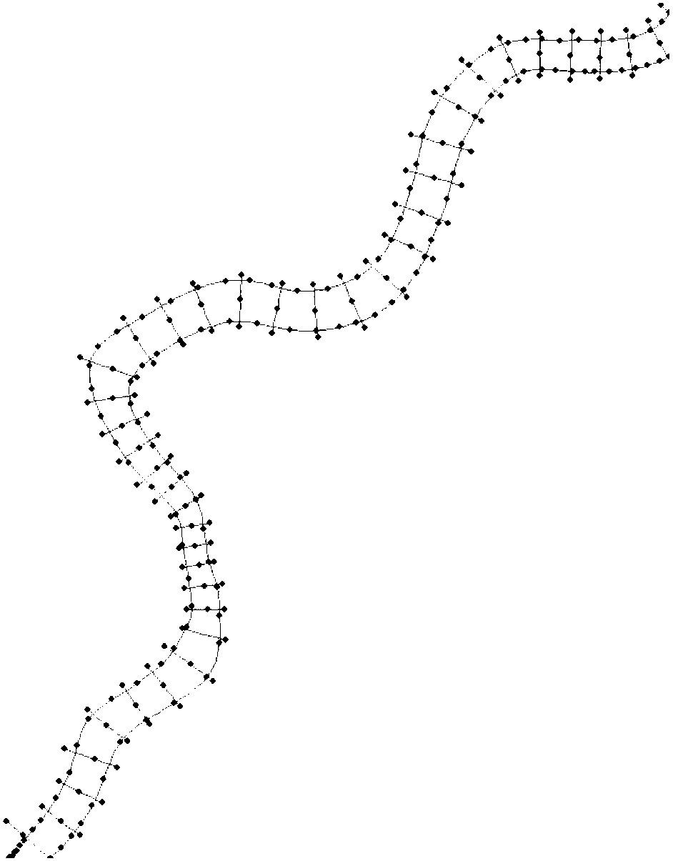 Grid drawing and central bar grid processing method for mainstream and tributary intersections of complex river network