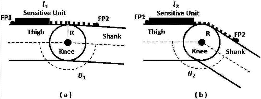 Flexible fabric sensor for measuring human body knee joint movement and method thereof