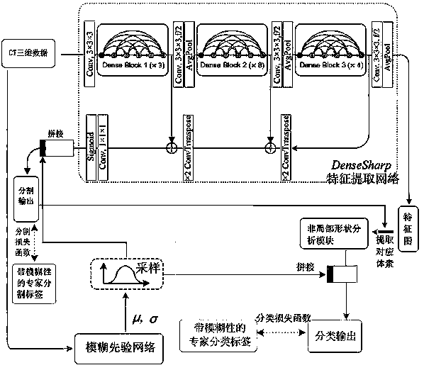 A lesion classification system based on deep learning and probabilistic radiomics