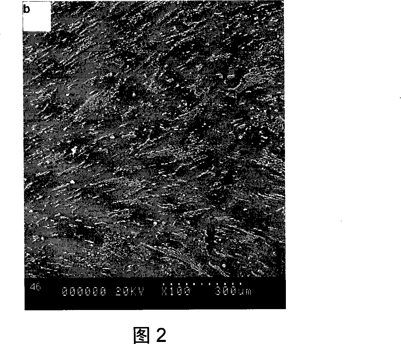 Method of preparing thin crystal composite layer on magnesium alloy surface