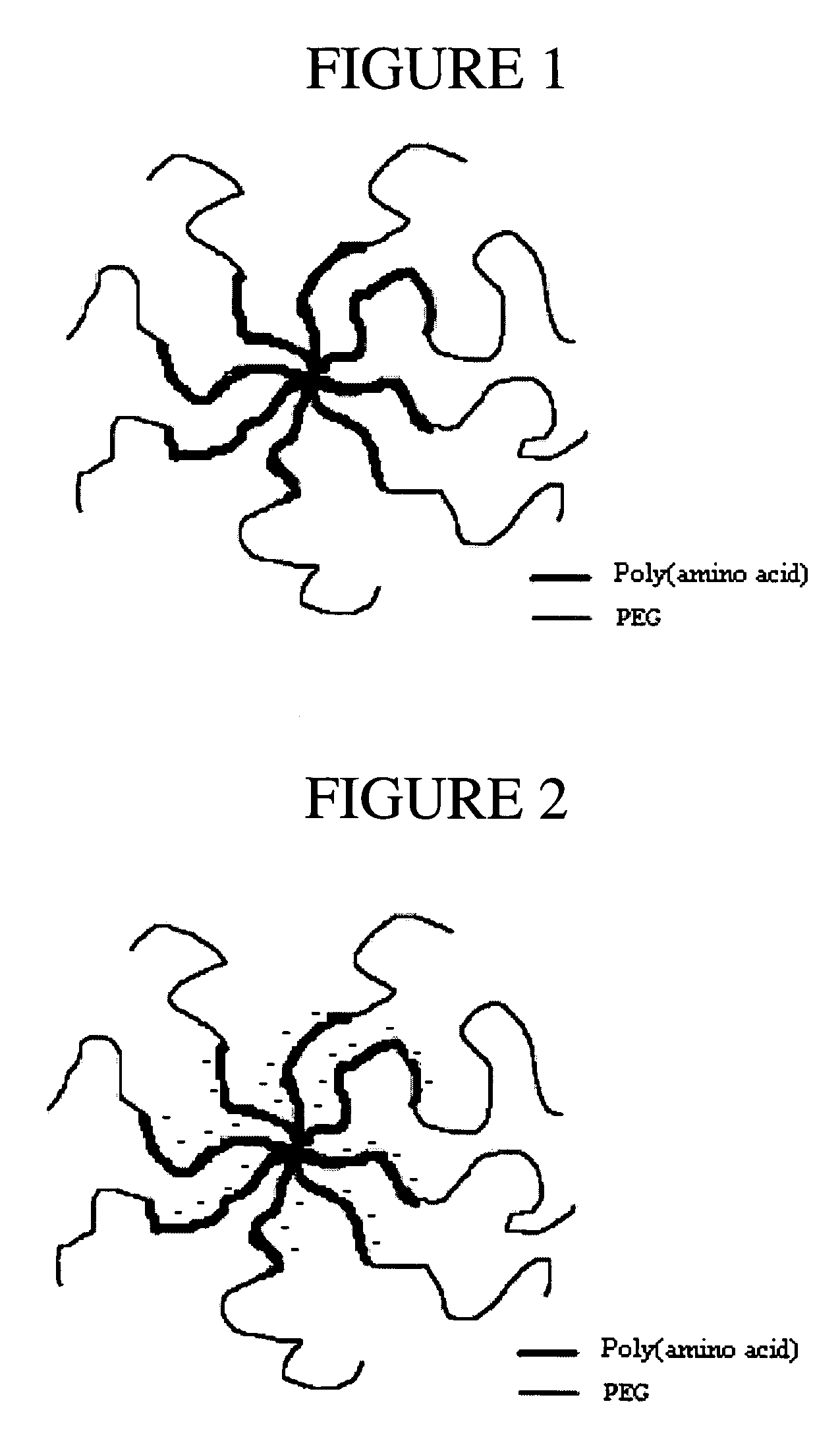 Multi-arm polypeptide-poly (ethylene glycol) block copolymers as drug delivery vehicles