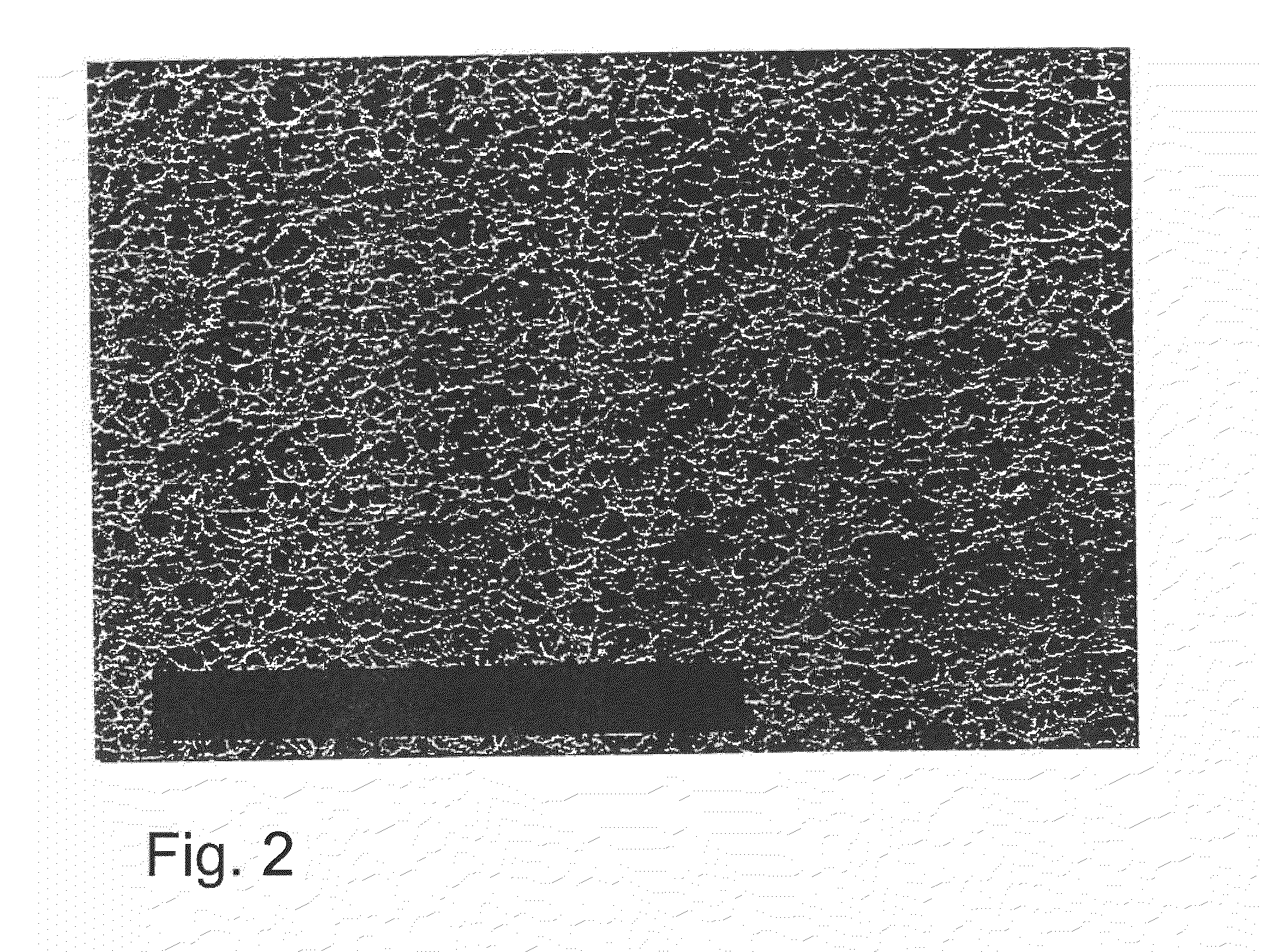 Process for Producing Surface Enhanced Membrane