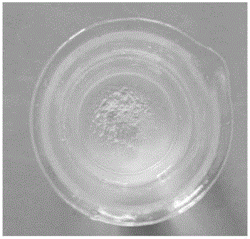 Negative ion dry powder surface modifying method