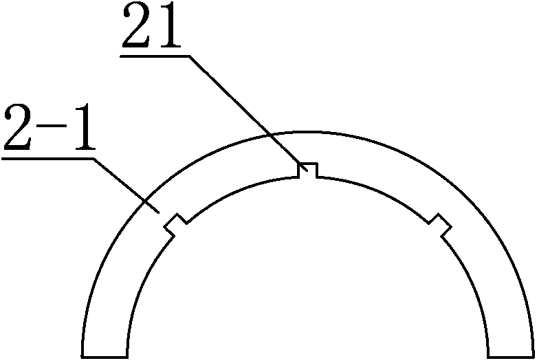 Special method and device for rat intraperitoneal injection