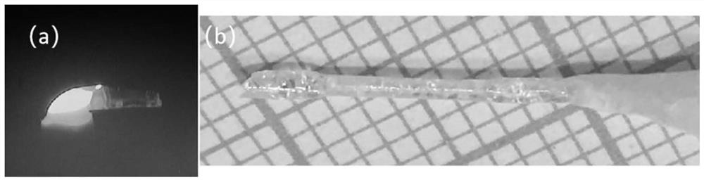 Rare earth doping (lu  <sub>a</sub> sc  <sub>b</sub> the y  <sub>c</sub> )  <sub>2</sub> o  <sub>3</sub> (a+b+c=1) single crystal optical fiber and its preparation method and application