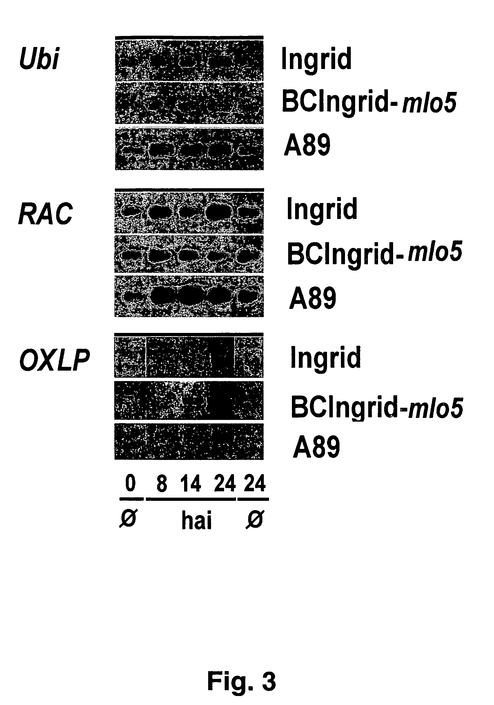 Nucleic acid sequences and their use in methods for achieving pathogen resistance in plants