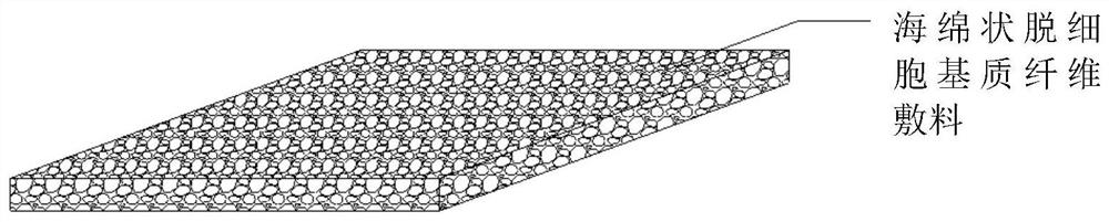 Acellular matrix fiber dressing and preparation method thereof