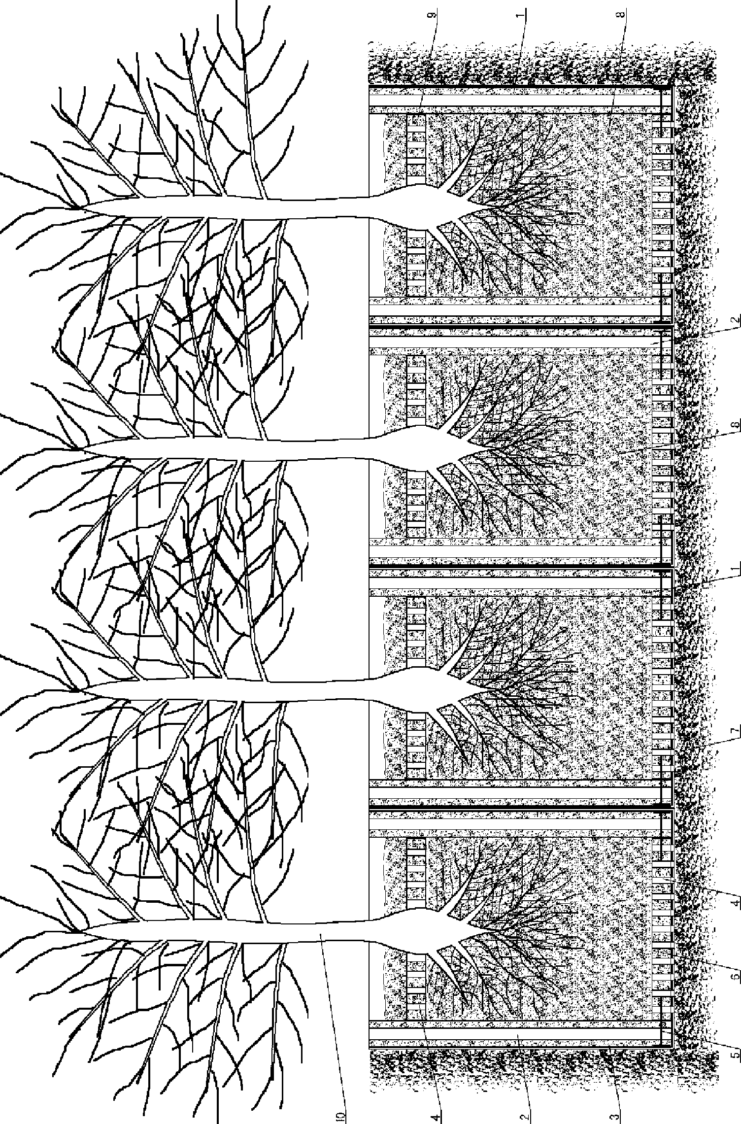 Method for cultivating seedling using compressed straw seedling cultivation cartridge packed with isolation bag