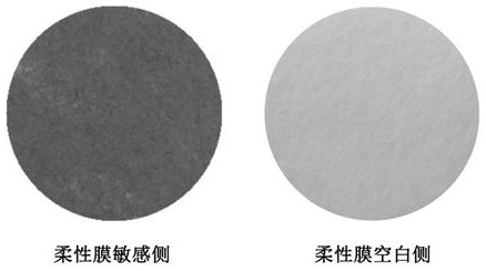 Preparation method and application of unilateral sensitive flexible film with micro-nano composite structure