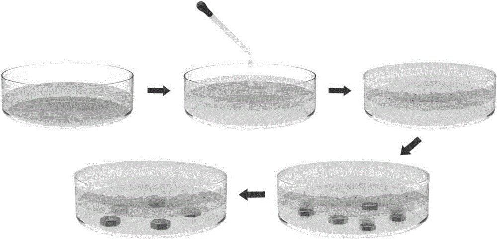 Method for growing perovskite monocrystal with liquid-liquid two-phase method