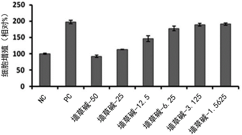 Composition for treating contact dermatitis comprising pellitorine as an active ingredient