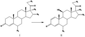 Preparation of 11β-hydroxy-1,4-diene-3,20-dione steroids by joint fermentation of Absidia and Arthrobacter