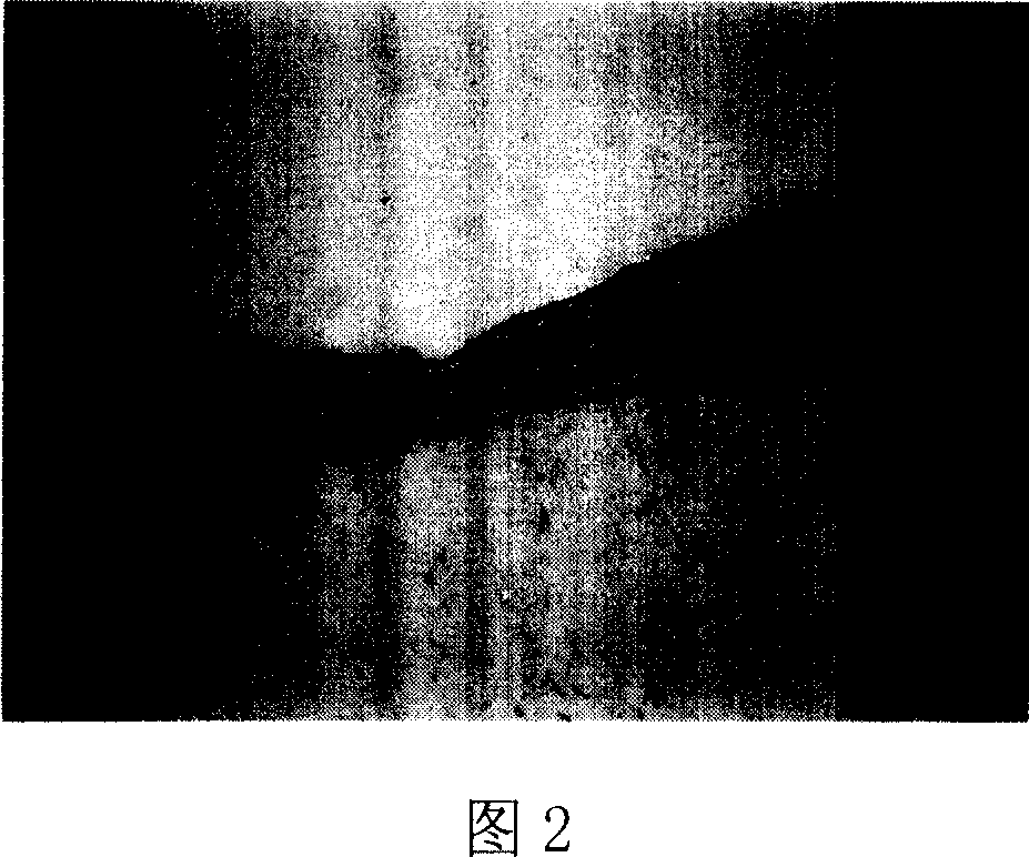 Preparation method of double-layer tissue engineering skin comprising basement membrane structure