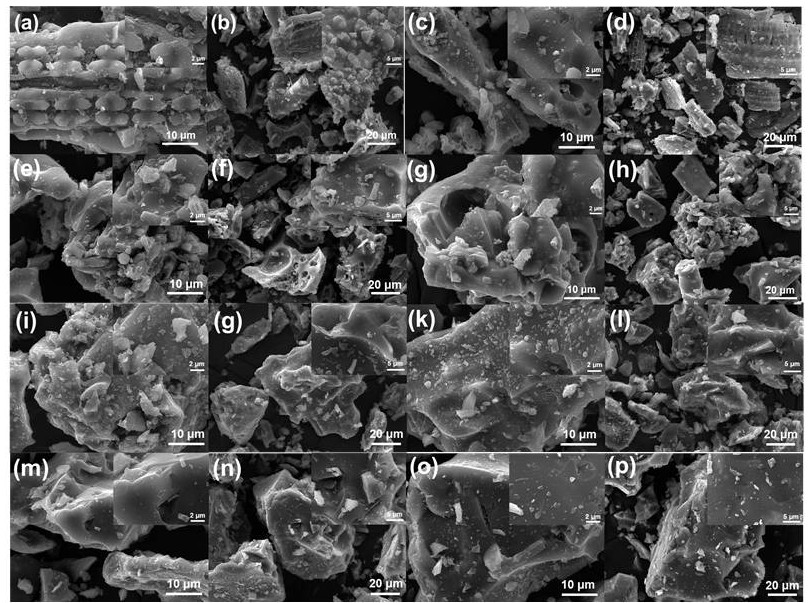 Preparation and application of high-activation charcoal based on heat and cobalt complex modification