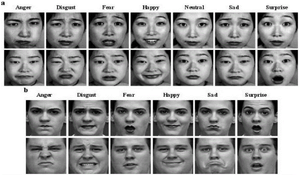 Monogenic multi-characteristic face expression identification method based on sparse fusion