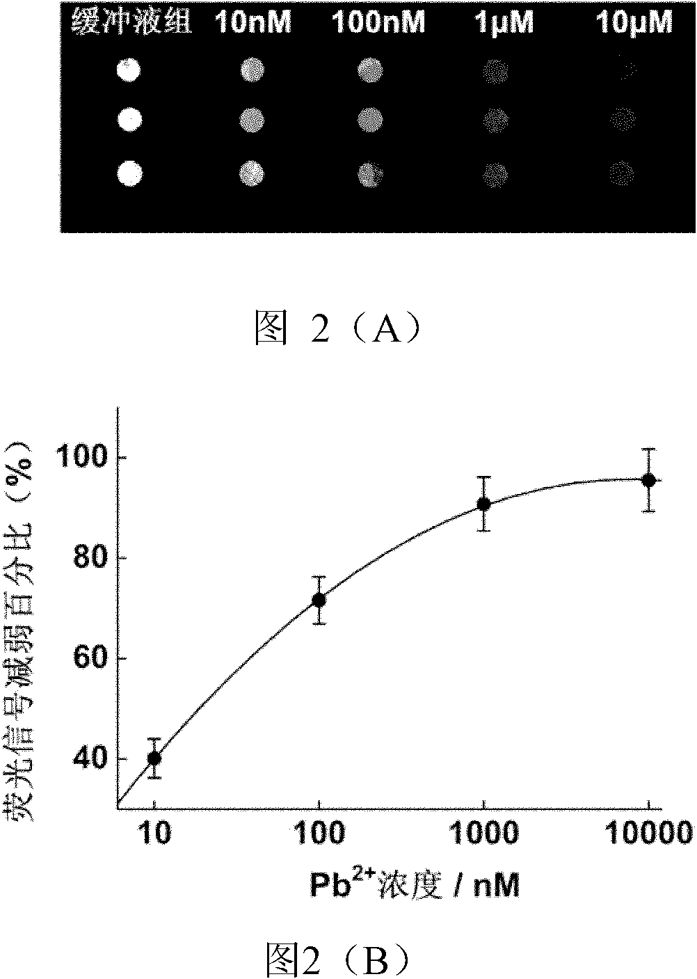 Lead ion detection chip based on deoxyribonuclease as well as making and application methods
