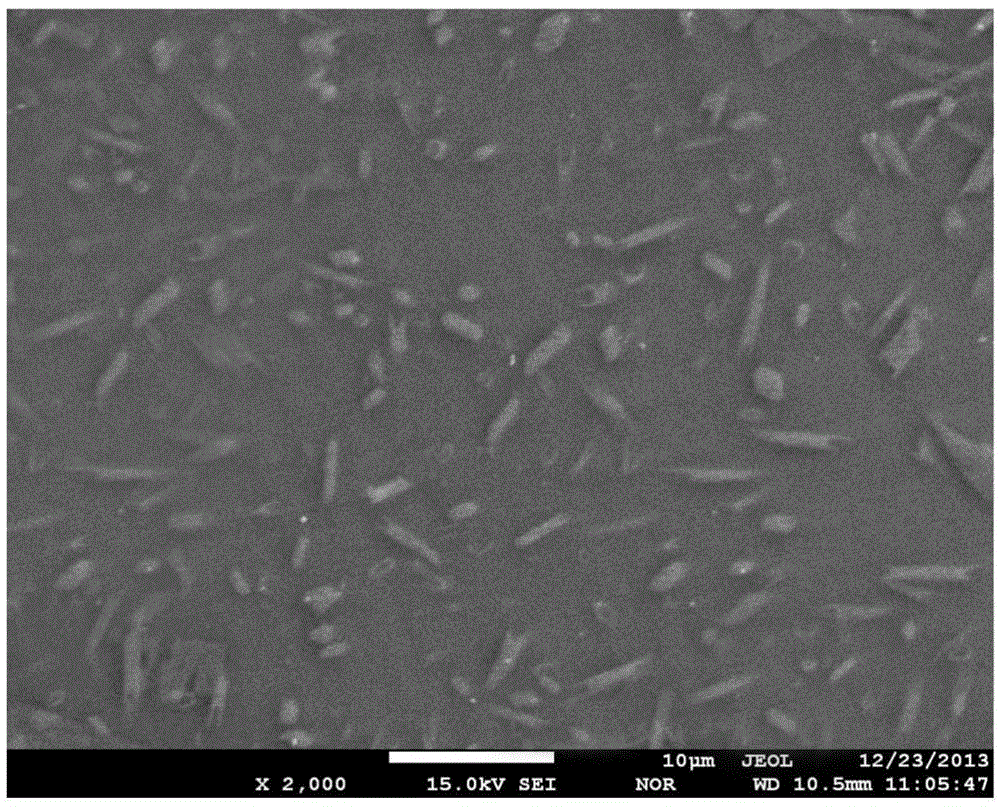 Dental glass-ceramic with color gradient change combined by frit + colorant