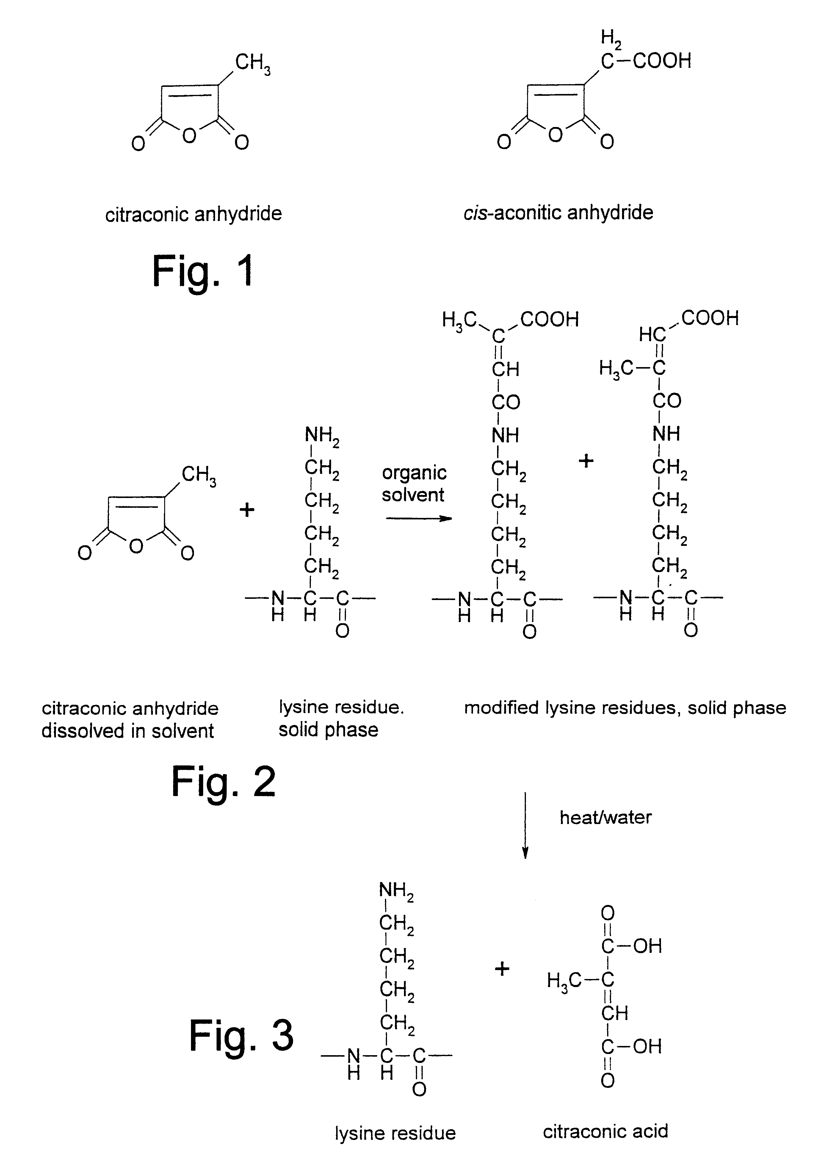Reversible inactivation enzymes