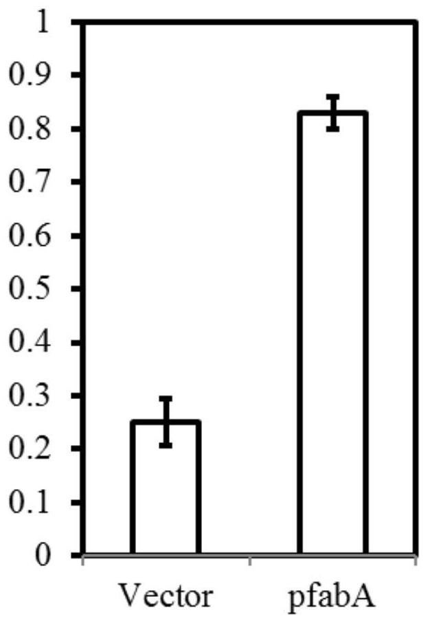 Recombinant bacterium with improved acid tolerance and construction method and application thereof