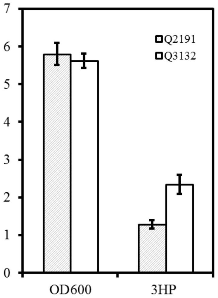 Recombinant bacterium with improved acid tolerance and construction method and application thereof