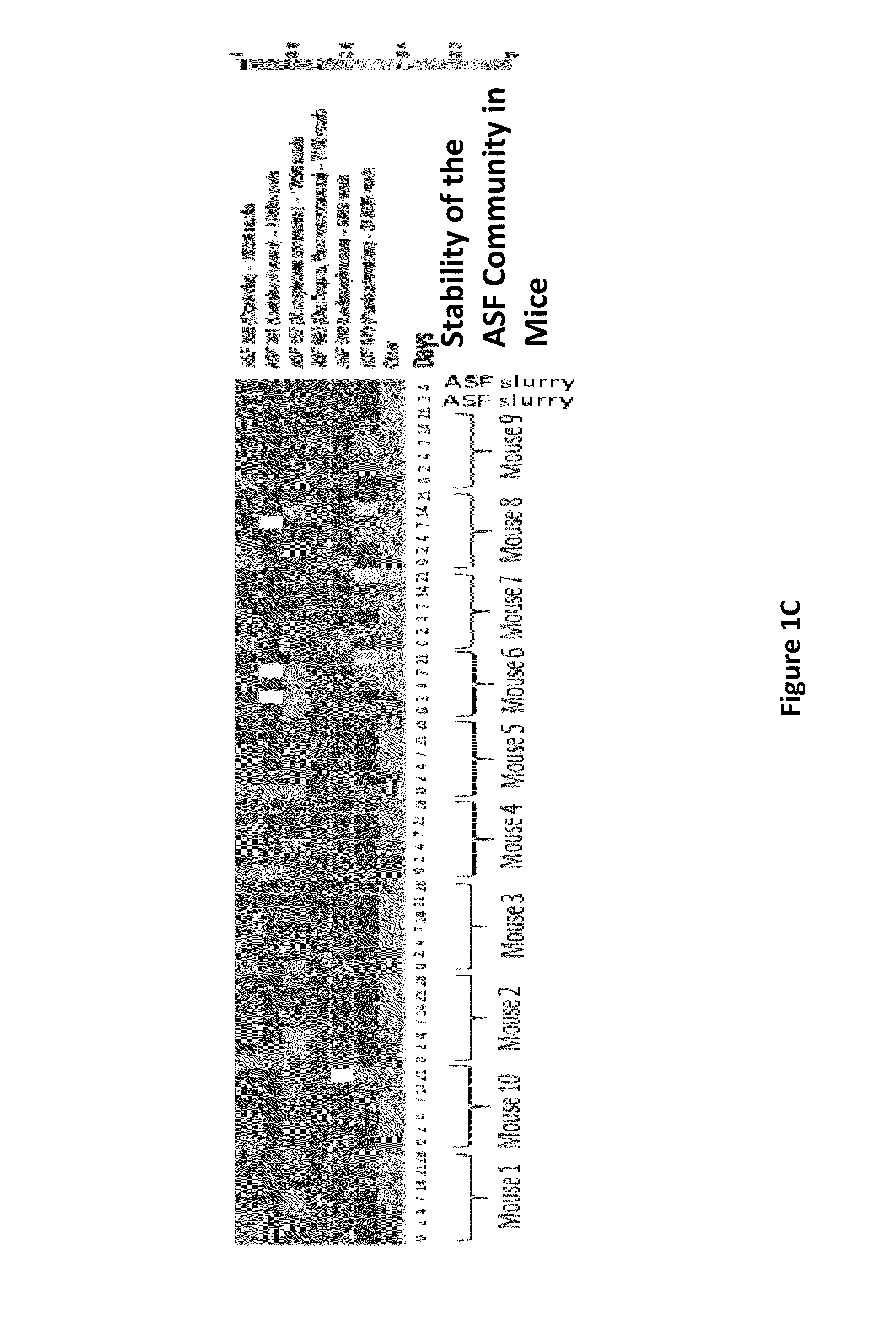 Compositions and methods comprising a defined microbiome and methods of use thereof