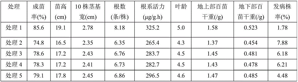 Rice seed cold-resistant germination-promoting seedling-strengthening agent and use method thereof