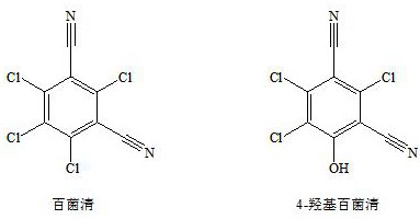 LCMSMS method for rapidly and simultaneously detecting chlorothalonil and metabolites thereof in vegetables and fruits