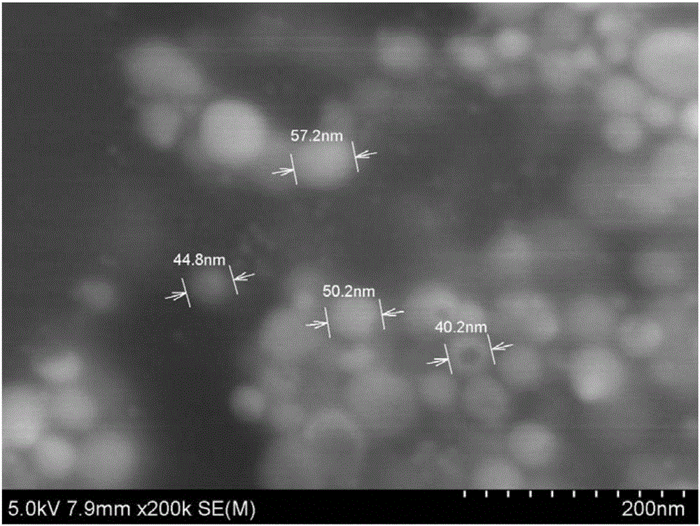 Nanometer-silver lipidosome and preparing method and application thereof