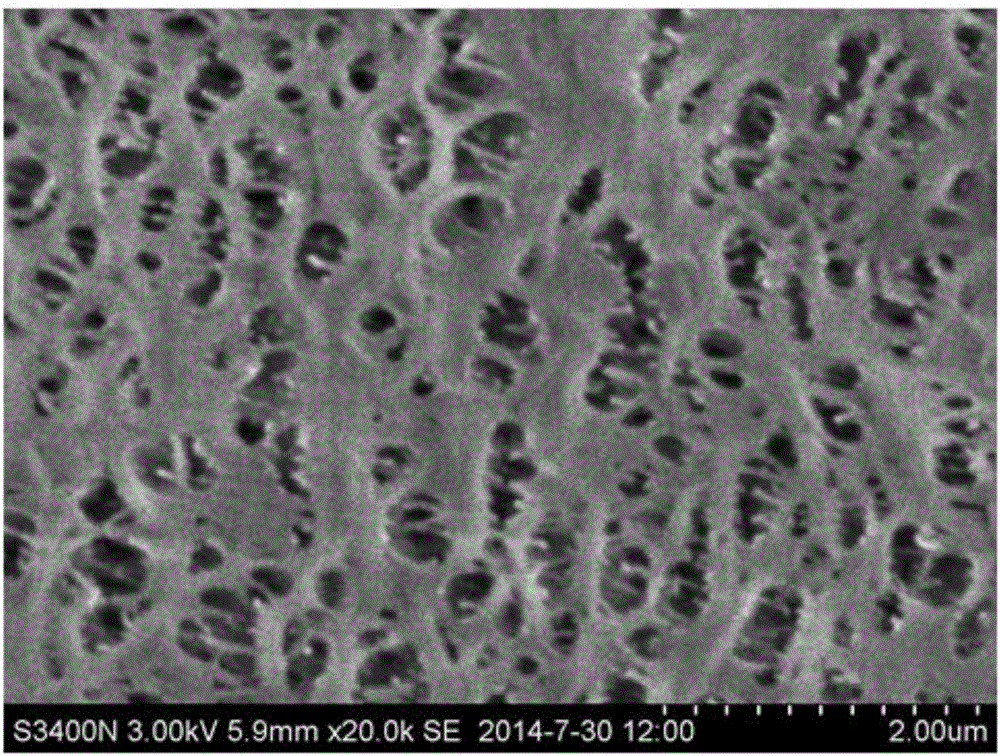 Polyphenylene sulfide microporous membrane containing lamella structure and preparation method thereof