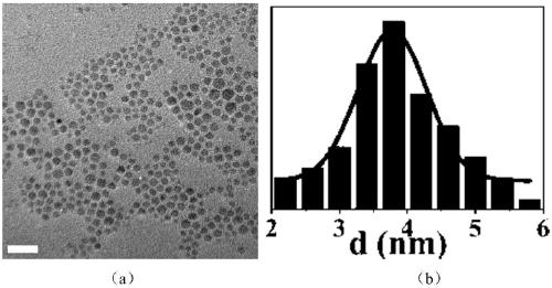 Controllable preparation of cu2znsns4 nanocrystalline materials
