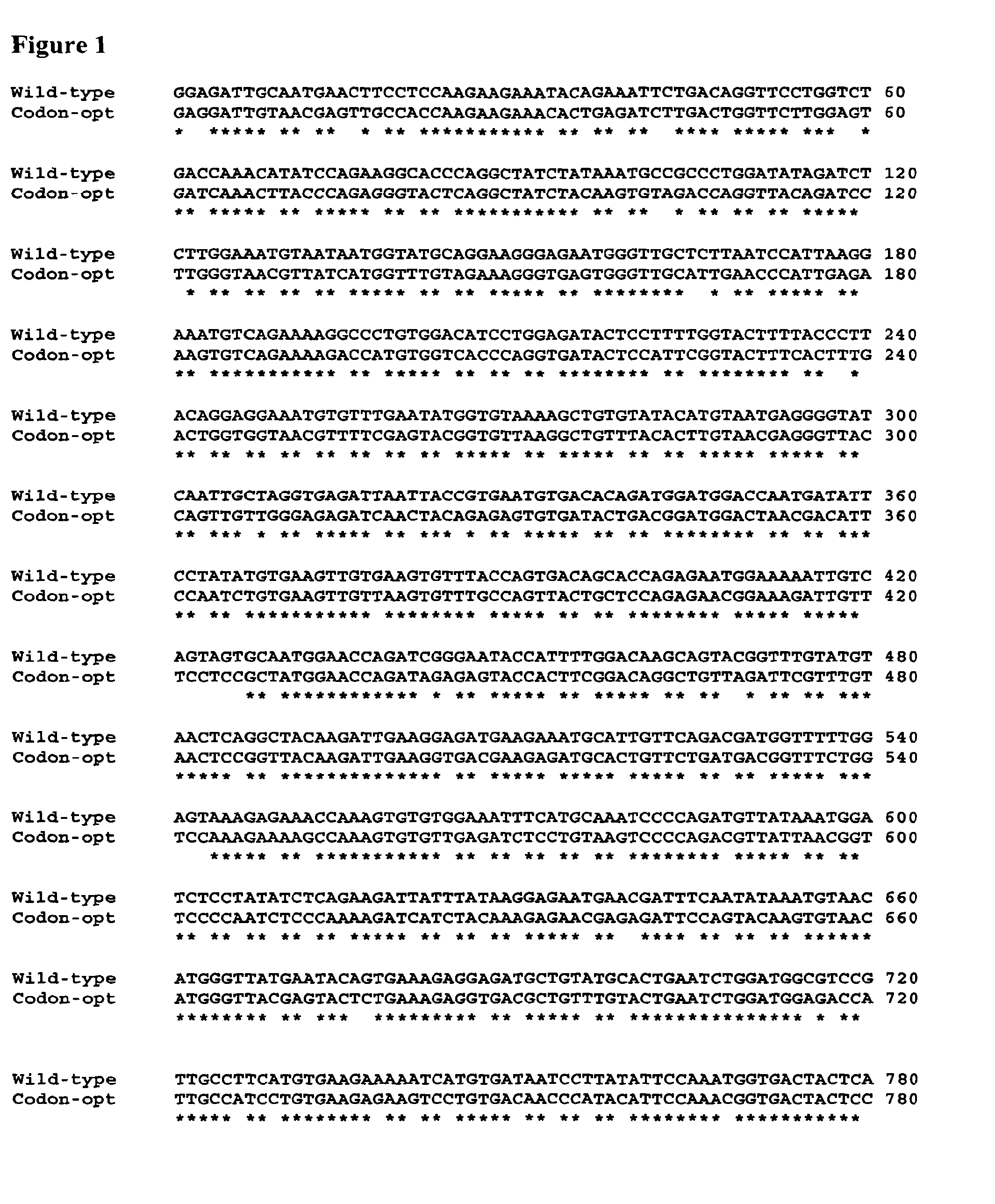 Recombinant factor h and variants and conjugates thereof