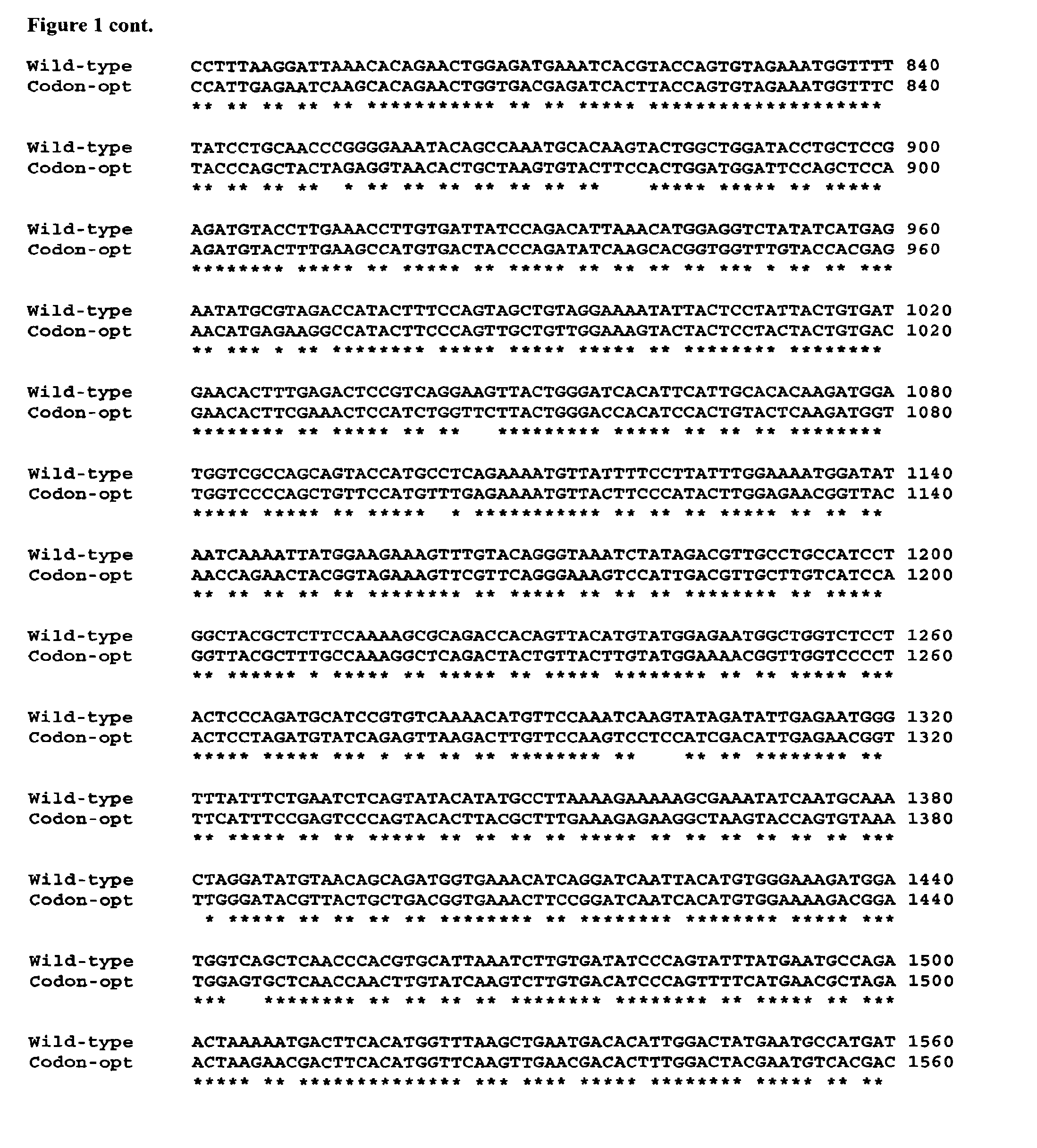 Recombinant factor h and variants and conjugates thereof