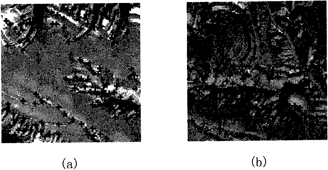 Image mosaic method based on neighborhood Zernike pseudo-matrix of characteristic points