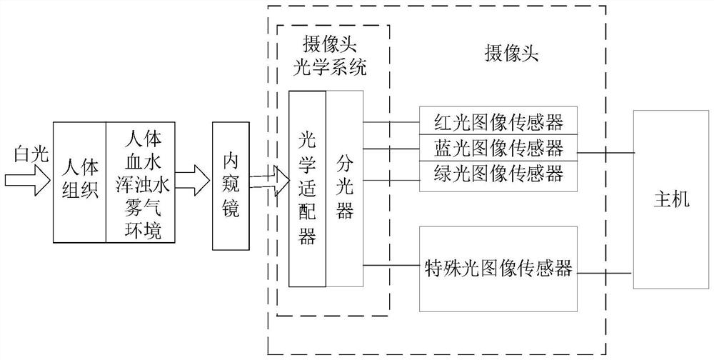 Endoscope device camera polarized light optical system, camera and endoscope device